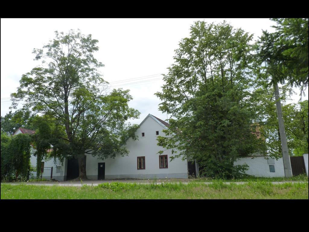 Penzion U Housku Villa Straz nad Nezarkou Exterior photo