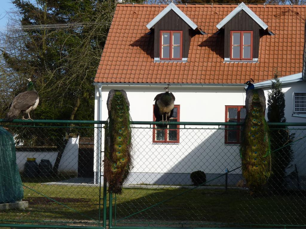 Penzion U Housku Villa Straz nad Nezarkou Exterior photo